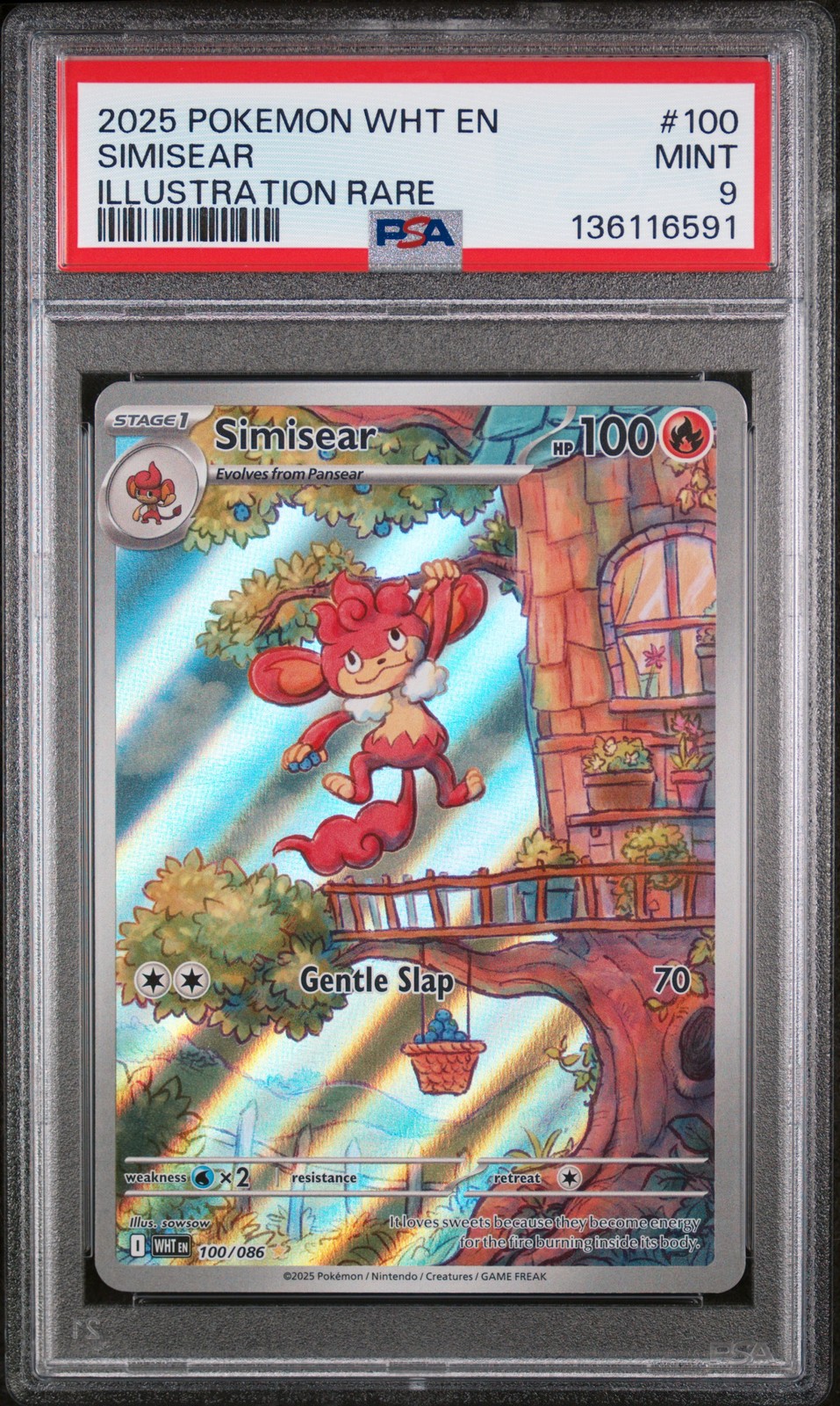 Simisear #100