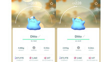 Shiny (Schillernd) Ditto wearing a Cap & Hat...