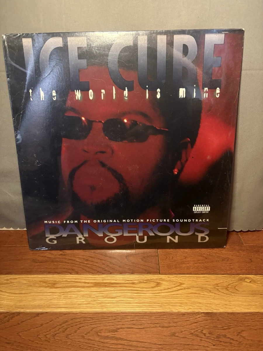 Ice Cube Single Vinyl Records - огромный выбор по лучшим ценам | eBay