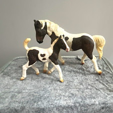 Bashir curly horse mare and foal collecta