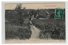54 ECROUVES ILLUSTRE LA GRIMPETTE DU FORT