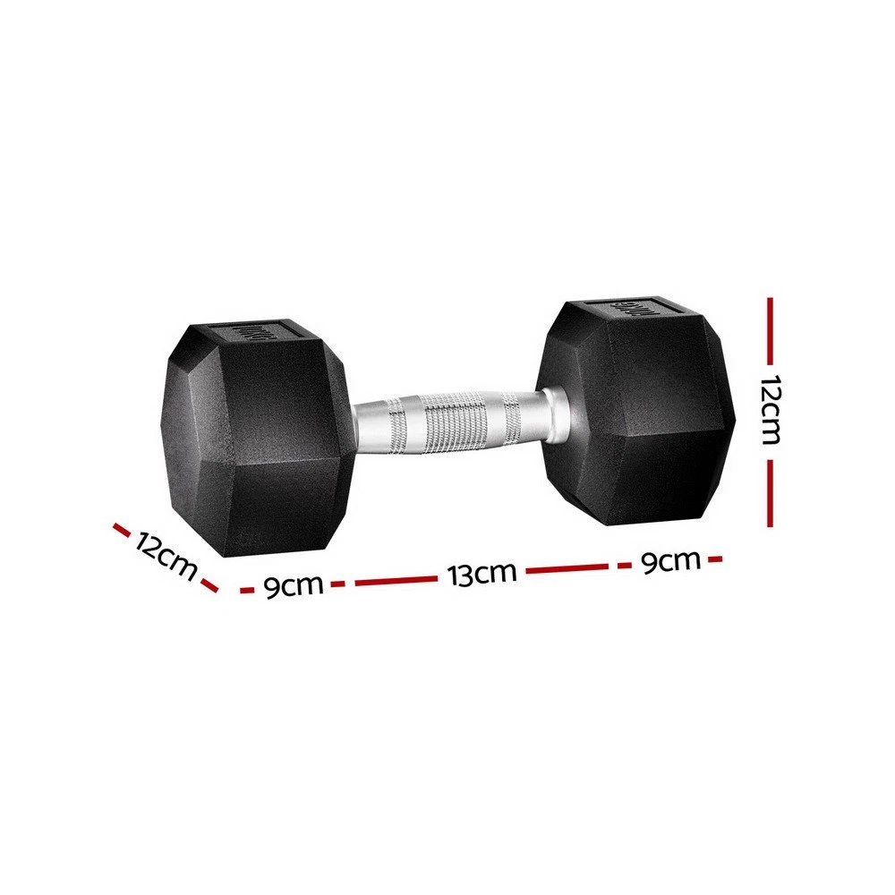 Everfit 20kg Hex Dumbbells Set Dumbbell Weights Lifting Bench Gym Workout 2x10kg