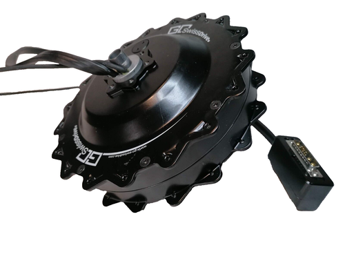 E-Bike Motor Go Swiss Drive HR Motor 43,2V 250W 36Loch PED0036 (D11) - Bild 4 von 8