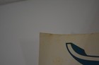 Picture 9 of 11