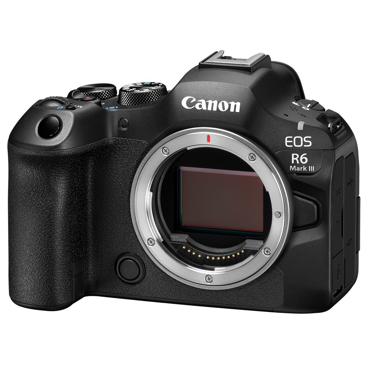 Canon EOS R6 Mark III Mirrorless Camera | eBay