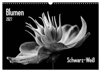 Calendar 2027 · US Version · Flowers 2027, Black And White (Wall Calendar 2027 1