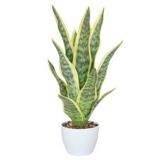 Muhanjia 18.5" Artificial Snake Plant Potted,Fake Sansevieria Floor Plant Rea...