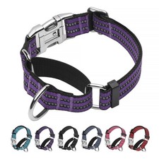 Martingale Collar for Dogs, Reflective, Metal Buckle,Purple,M