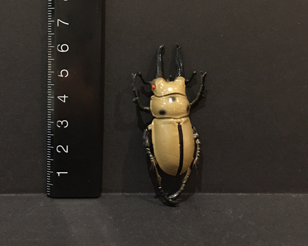 World Beetles Papuakin Yellow Stag Beetle Insect Japan PVC Figure