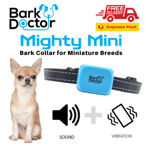 Bark Doctor Mini Antibark Dog Collar for MINIATURE Maltese Shitzu Toy Poodles  - Picture 1 of 15