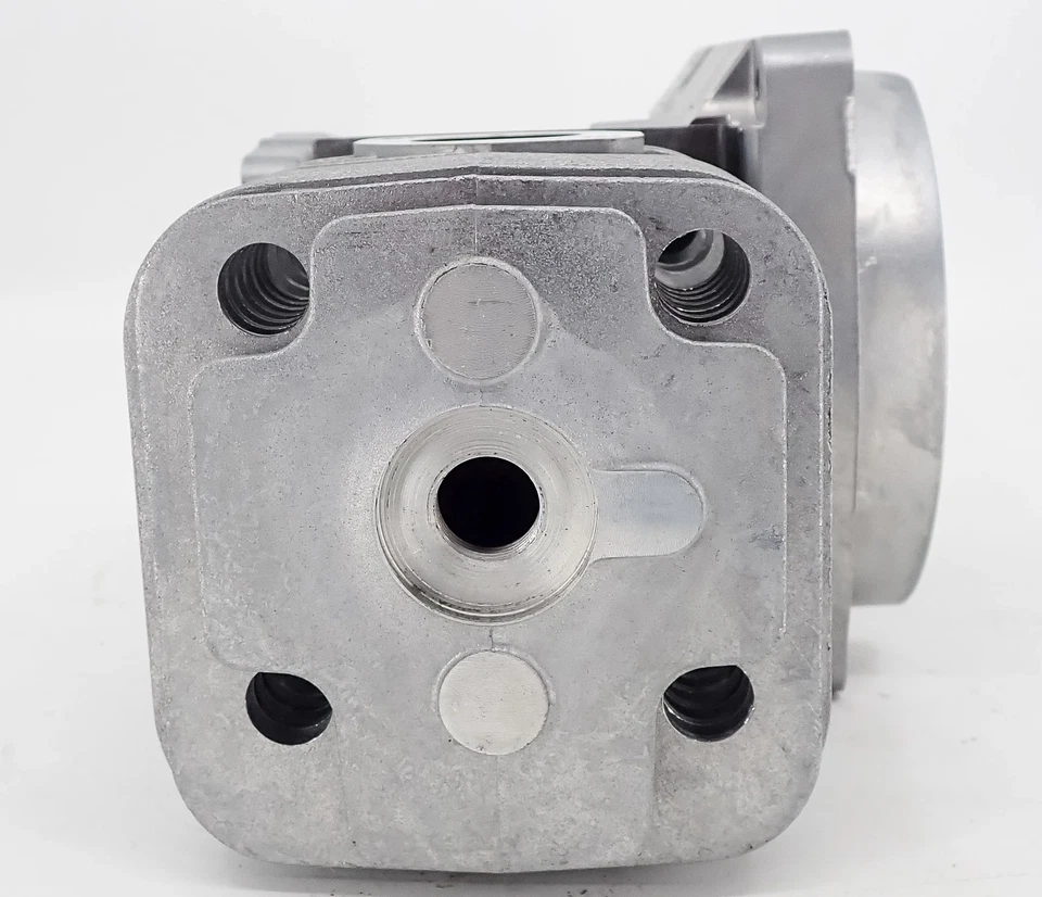 CILINDRO PISTÓN ECO ORIGINAL SHORTBLOCK PB-580 PB-580T PB-580H SB1116 Foto 4 de 4