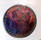 1900-P Morgan Silver Dollar PC MS66 Toning Impressive  Color