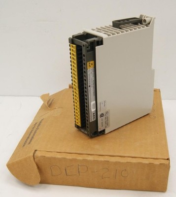Schneider Modicon AEG DEP 210/AS-BDEP-210 Discrete Input Module  **NEW**
