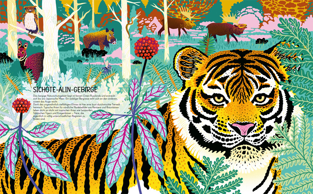 Thumbnail - Mia Cassany Wildnis: Wo Seltene Tiere Und Pflanzen Zuhause Sind