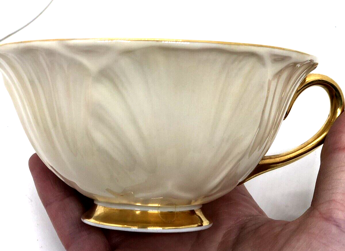 Vintage Shelley Oleander Fine Bone China Tea Cup Saucer Rock Garden Chintz eBay