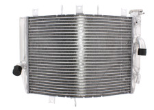 Radiatore acqua per Kawasaki ZX-10R 1000 Ninja JMP radiatore radiatore 2006-2007