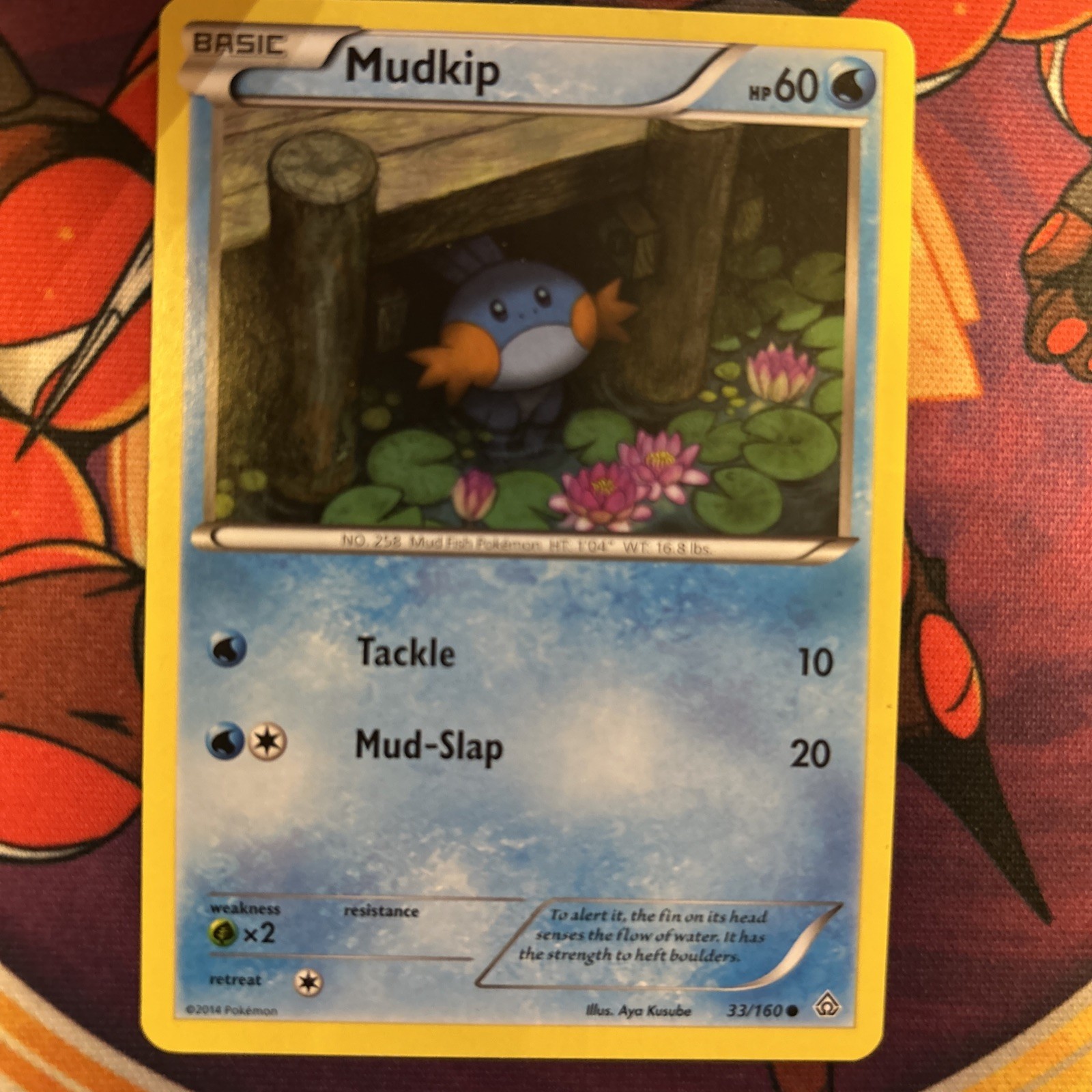 Mudkip - 33/160 - None-Holo Rare Primal Clash TCG - Pokemon Card - LP