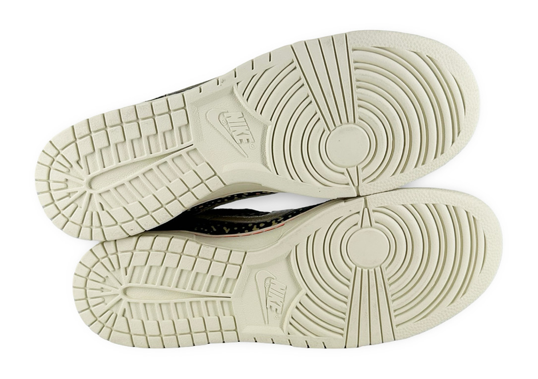 Size 10.5 - Nike Dunk Low SE Gone Fishing Rainbow Trout FN7523-300  thumbnail 2