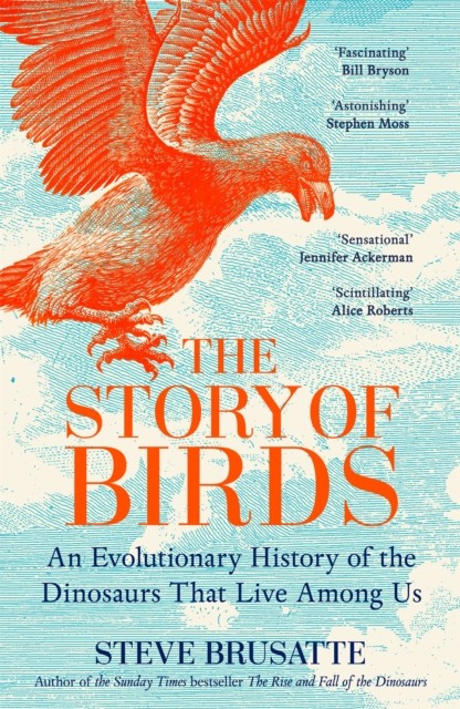 Story Of Birds