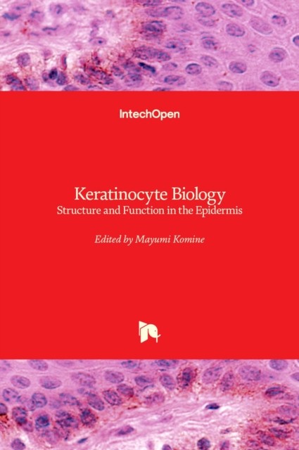 Keratinocyte Biology: Structure and Function in the  by Mayumi Komine HARDBACK