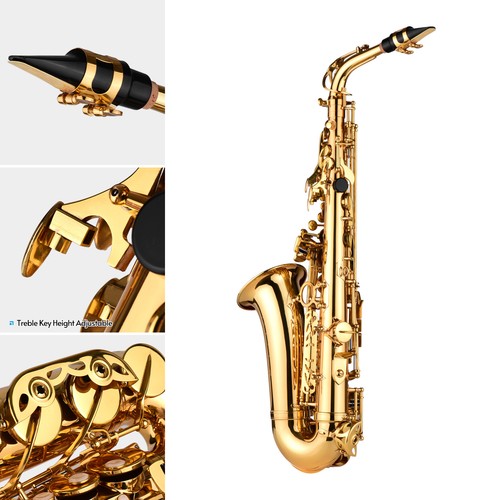 Eb Alto Saxophone Brass Gold Lacquer Alto Sax Woodwind Instrument Full Set M5J3 - Picture 6 of 9