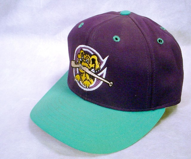 Charleston RIVERDOGS Baseball HAT CAP Logo DOG BAT Fitted 63/4 Purple