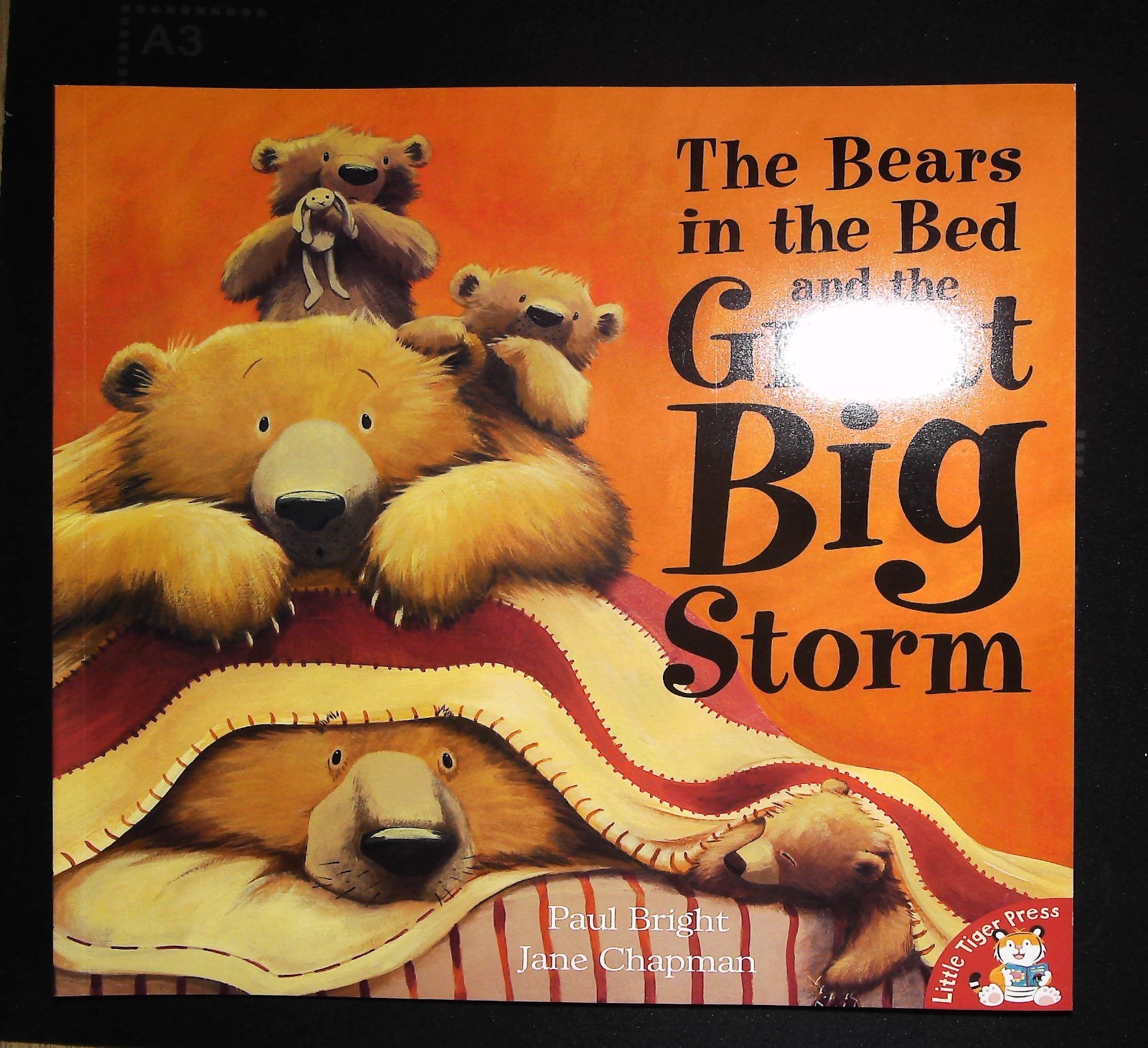 The Bears In The Bed and The Great Big Storm Paul Bright Jane Chapman Children's