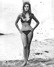 RAQUEL WELCH 8x10 Publicity Photo Vintage Film Star Glamour Studio Portrait Art