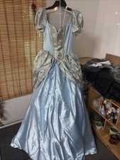 In Character Enchanted Princess/Cinderella adult Large Halloween costume