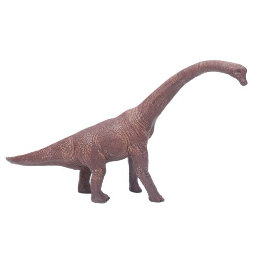(Brachiosaurus Model)Brachiosaurus Dinosaur Figure Educational Meaning Solid - Picture 1 of 22