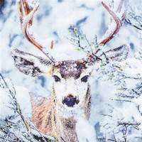 20 Servietten Stag In Snow Hirsch Wald Tiere Wild Winter Tischdeko 33X33Cm