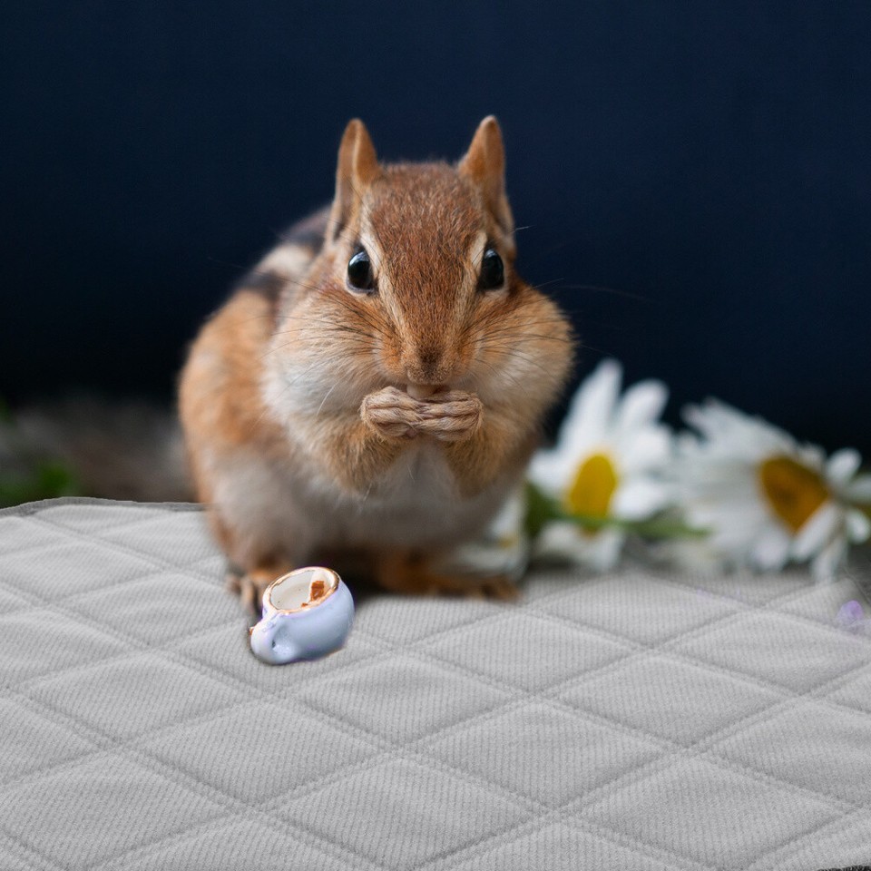 4 Pieces Hamster Pee Mats Bedding for Rabbits Cage Sleep Pad Dog Urine