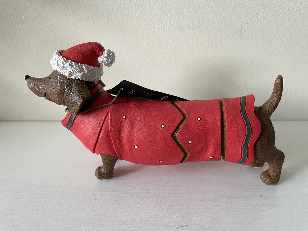Next Sausage Dog (Dachshund) in Christmas Cracker Jumper & Hat