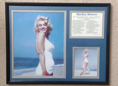 Marilyn Monroe Foto Collage Bio Pin-up Sam Shaw Sammlung Vintage gerahmt gebraucht 