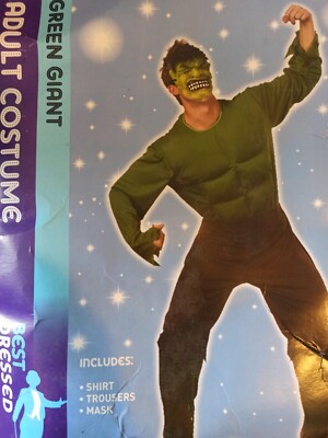Hulk Marvel Green Giant Superhero Fancy Dress / Halloween Stag Men Costume  Large | eBay UK