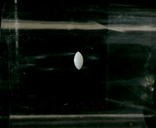 0.08ct Marquise Shape Genuine Natural Ethiopian Cabochon Opal 5 x 2.5 mm