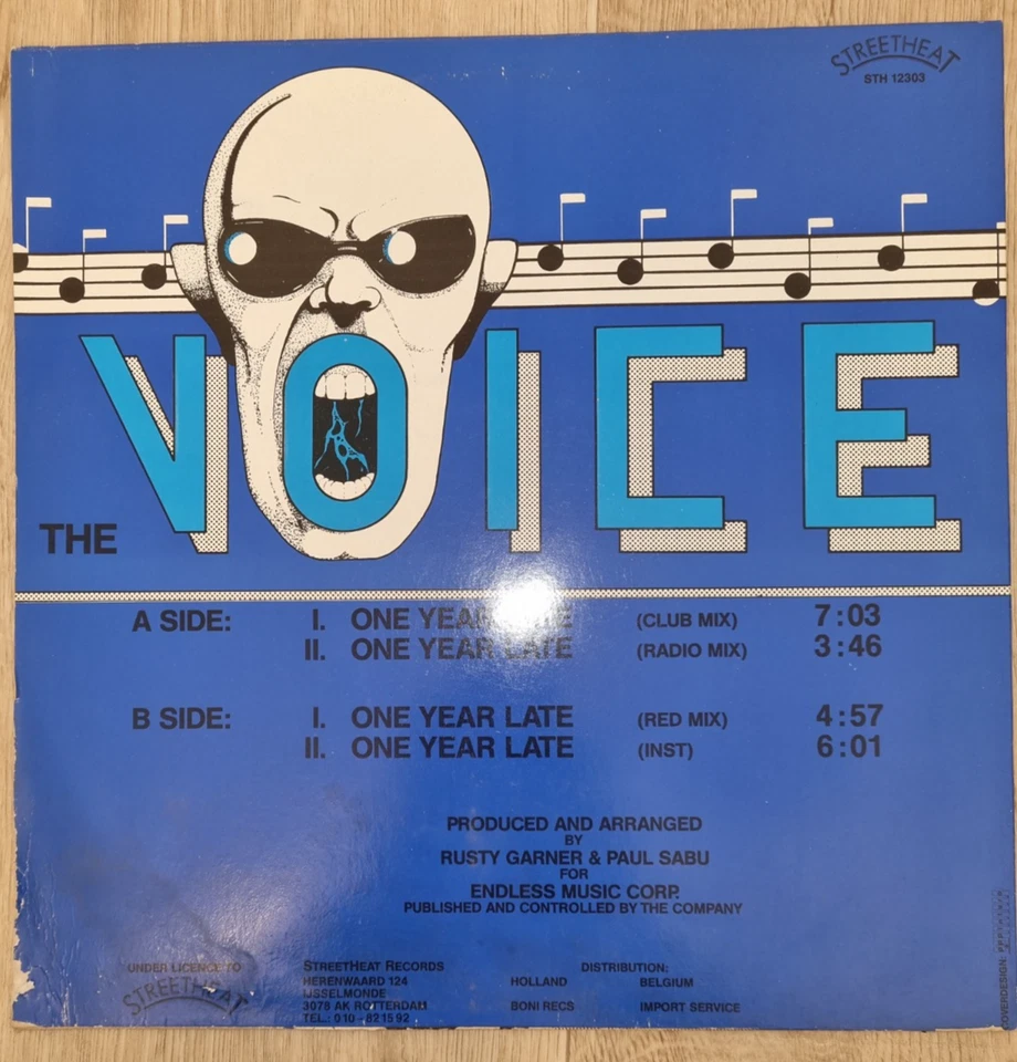 The Voice One year late  (12" Vinyl Maxi) - Bild 2 von 2