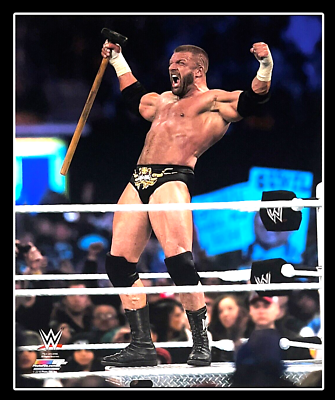 WWE TRIPLE H OFFICIAL LICENSED 8X10 WRESTLING PHOTO ORIGINAL PHOTO