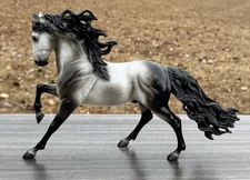 Breyer grey Andalusian CC Appreciation GLOSSY 70th Anniversary