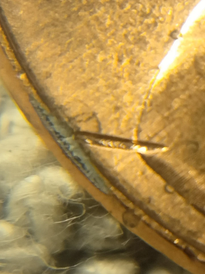 Bu 2012 P Lincoln Shield Cent Struck Thru Rim Error - Image 2 of 4