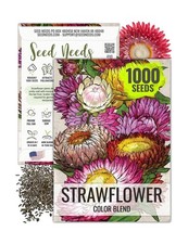 Seed Needs Strawflower Seeds for Planting - Heirloom  Open Pollinated Annual...