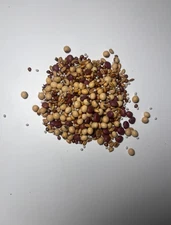 5 lbs. Peak + Plot Seed Blend Wheat, Cowpeas, Soybeans, Clover, Sorghum Sudan