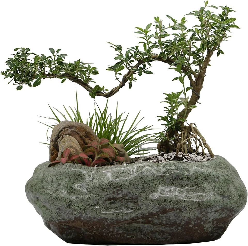 Elegant Premium Ceramic Bonsai Lotus Pot - Patina Glazed Succulent Planter - Image 4 of 4