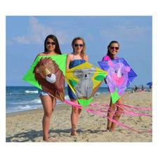 30 inch Diamond Premier Kites