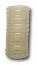 Basic Plastic Shower Curtain Rings - Ivory- 12pk