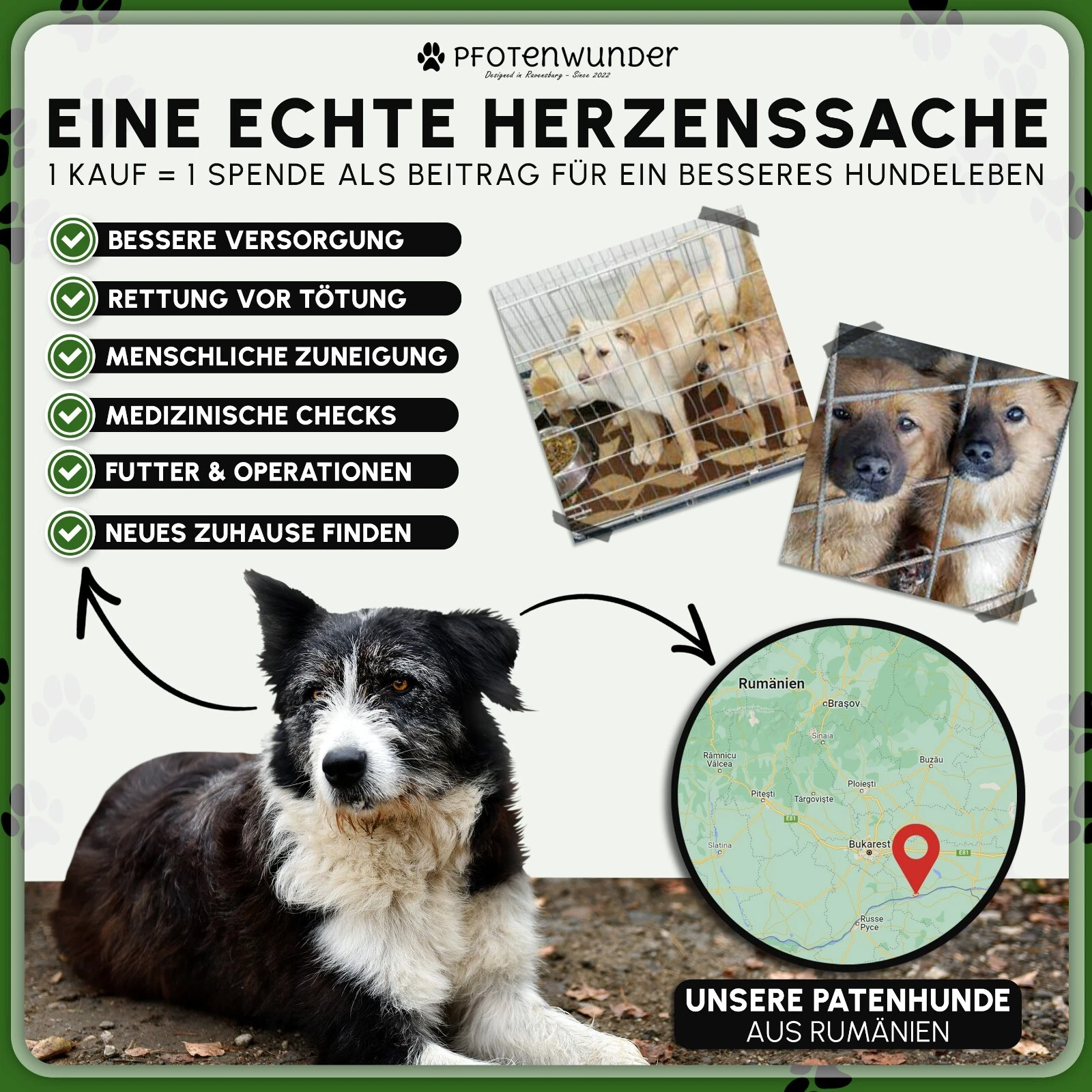 Bild 7 von 12