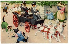 Mainzer - Hartung Cats & Dogs Postcard 4701 - Copyright Kunzli -Wedding Carriage