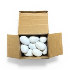 SallyFashion 30pcs White Plastic Easter Eggs - Paintable DIY Craft Fake Eggs NEW
