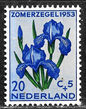 HICK GIRL-MINT NETHERLANDS STAMP   SC#B253  1953  FLOWER ISSUE   C786