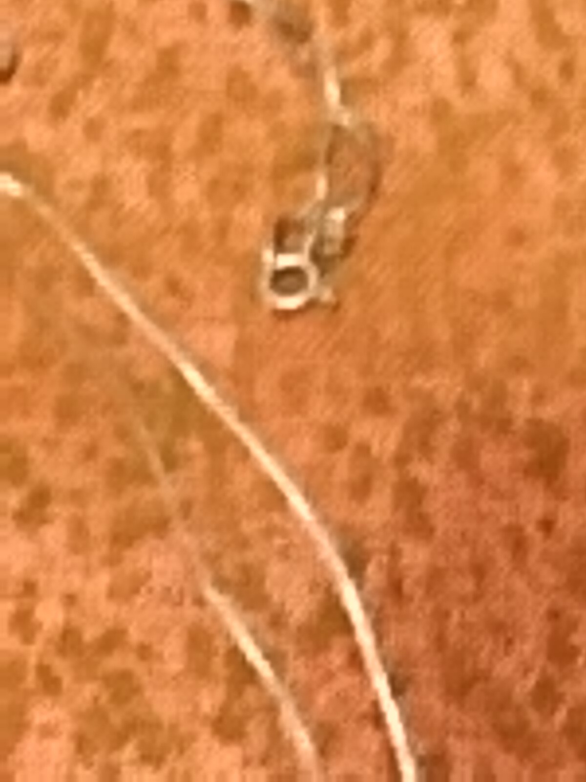 Picture 14 of 19